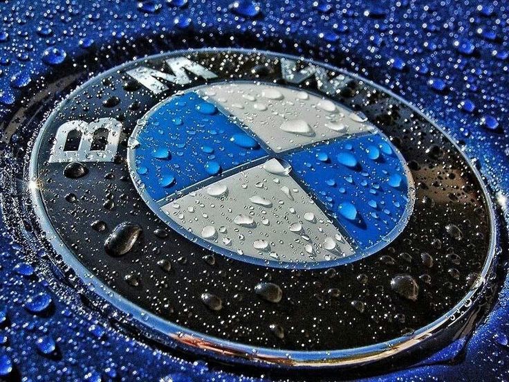 bmw logo